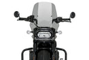 HARLEY DAVIDSON SPORTSTER S RH 1250 S [2024] – Nueva Generación Touring – Tintado-1