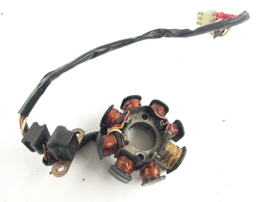 Husquvarna TE 250 H8 [2004] - Estator alternador con camioneta