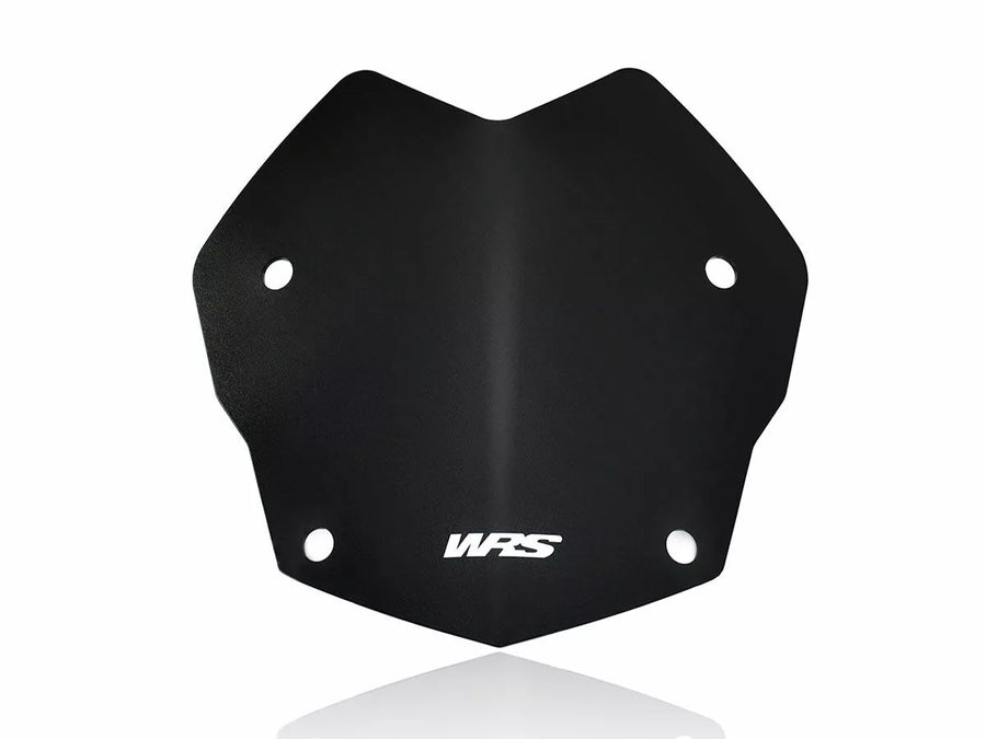 BMW R 1200 GS [WRS] - parabrisas