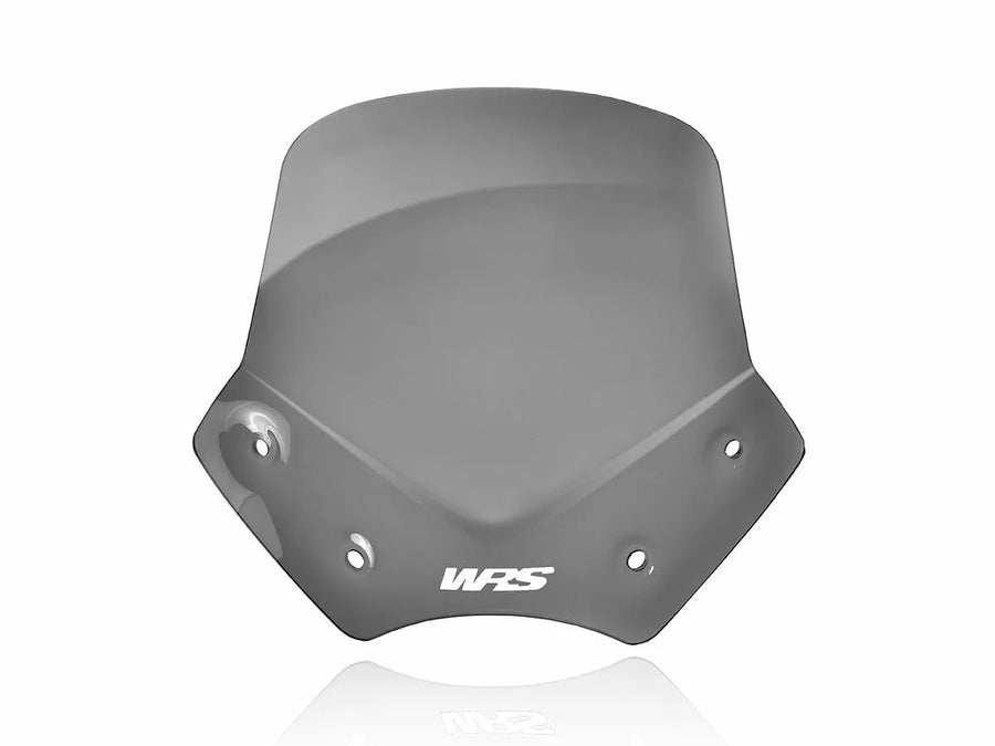 BMW R 1200 R [WRS] - parabrisas