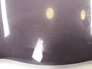 Kawasaki GPZ 1100 ZXT10E [1997] - Visor de disco de descenso-2