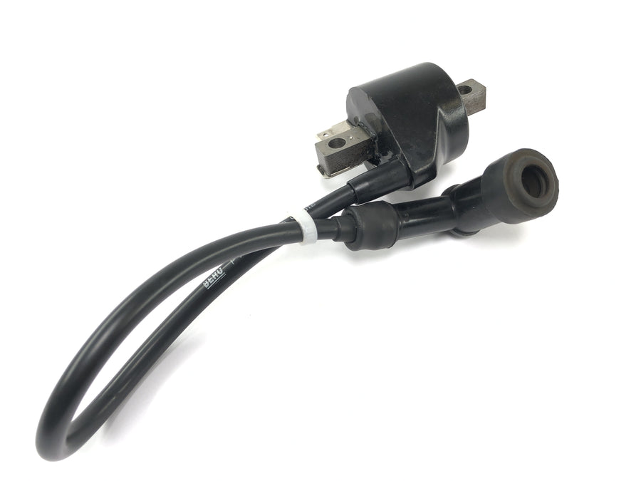 Cagiva Mito 125 EVO 8P [2000] - Módulo de encendido de la bobina de encendido Conjunto de cable de encendido