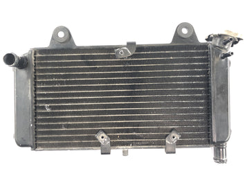 Yamaha MT 03 RM02 [2007] - Radiador enfriador de agua enfriador del motor radiador del sistema de refrigeración