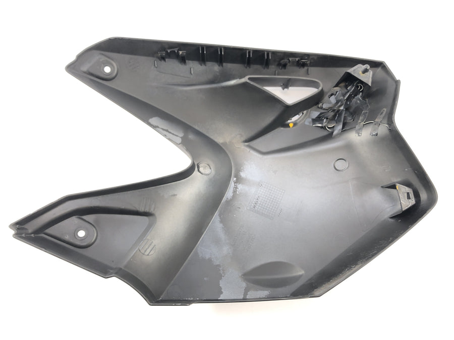 BMW R 1200 GS R12 K25 [2003] - revestimiento de tanques con revestimiento izquierdo