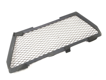 BMW R 1150 GS R21 [2002] - Panel protector de rejilla del radiador en la parte delantera - 0