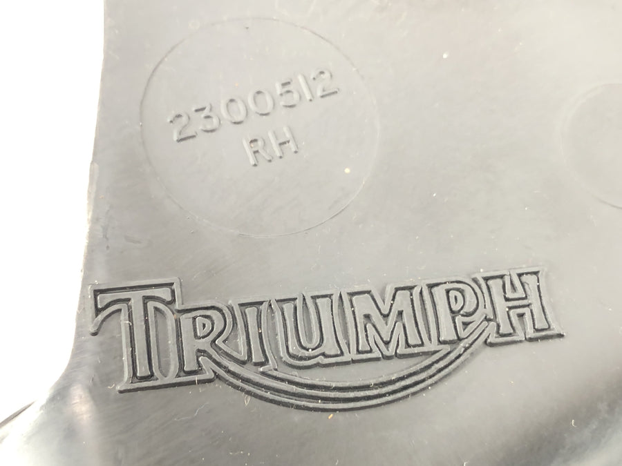 Triumph Daytona 900 T300 [1993] - Vestir el revestimiento de protección del motor Conchas del motor izquierda y derecha