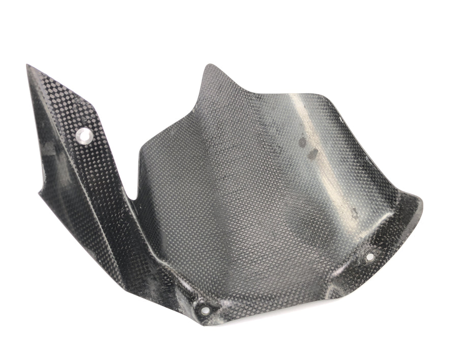 Ducati 999 H4 [2003] - Carbon de cubierta de la rueda trasera