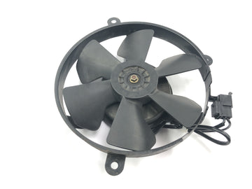 Honda CBR 900 RR Fireblade SC33 [2000] - Ventilador eléctrico de rueda de ventilador de radiador - 0
