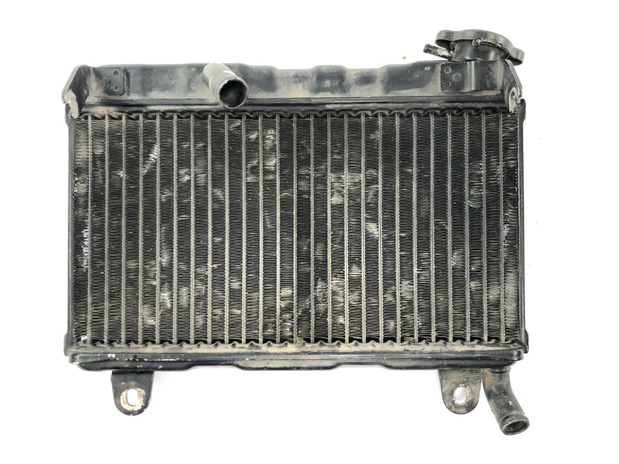 Suzuki RG 250 Gamma GJ21D [1987] - Sistema de refrigeración del radiador por agua