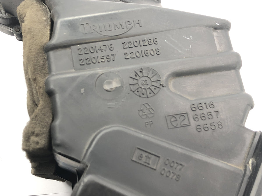 Triumph Tiger 955i 709EN [2003] - Caja de filtro de aire caja de filtro de aire