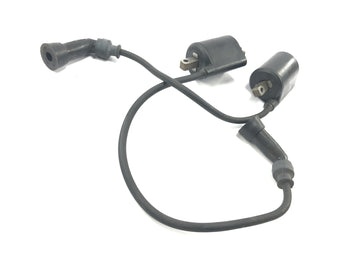 Suzuki Intruder VL 1500 AL [2000] - Bobina de encendido bobinas de encendido cable de encendido conector de bujía