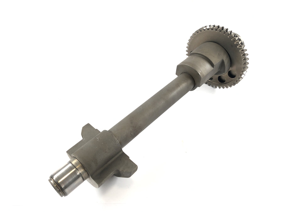 Triumph Speed ​​Triple 955i [1999] - onda de compensación