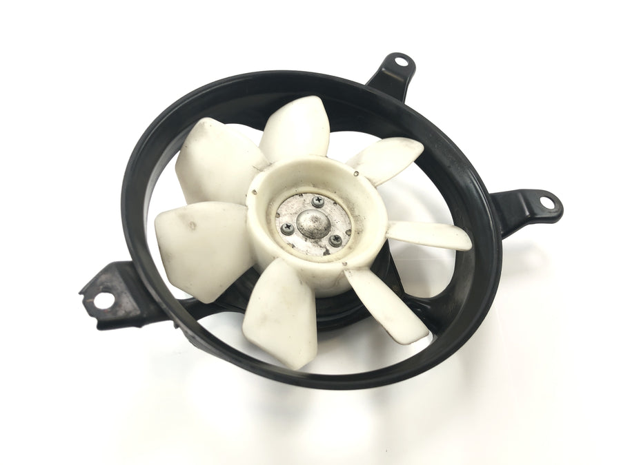 Triumph Tiger 955i 709EN [2003] - Ventilador radiador electrico ventilador