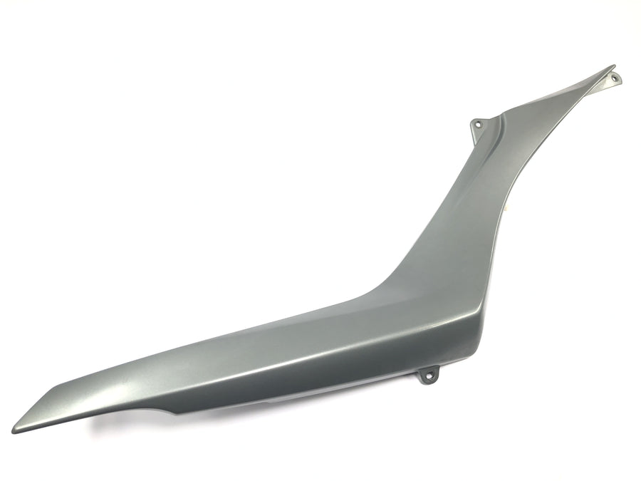 BMW R 1200 R R1ST [2008] - Panel trasero panel lateral derecho