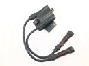 Triumph Bonneville T100 986MF [2012] - Unidad de encendido del módulo de encendido de bobina de encendido con cable y conector de bujía-4