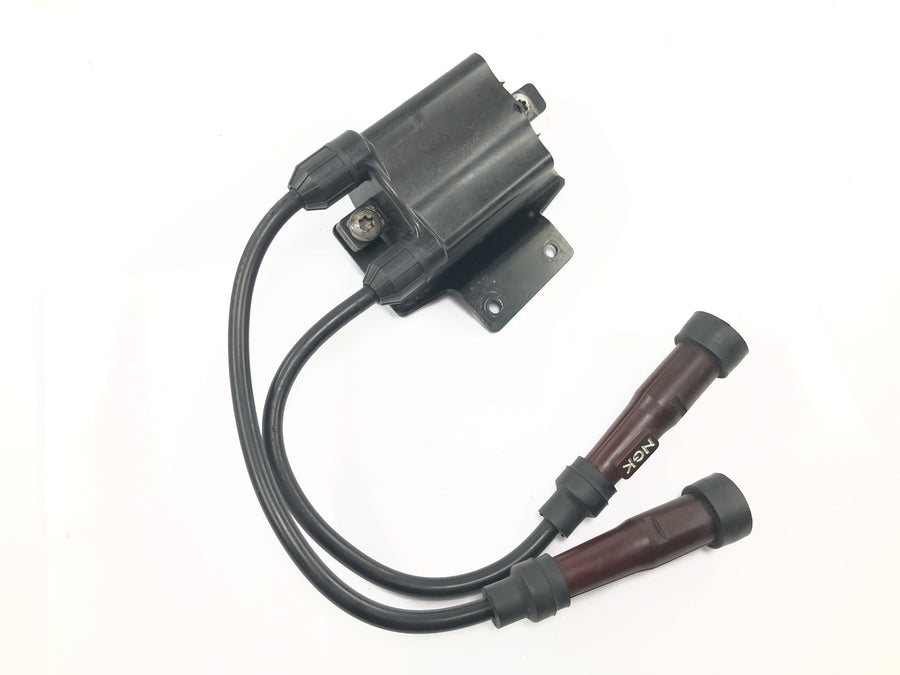 Triumph Bonneville T100 986MF [2012] - Unidad de encendido del módulo de encendido de bobina de encendido con cable y conector de bujía