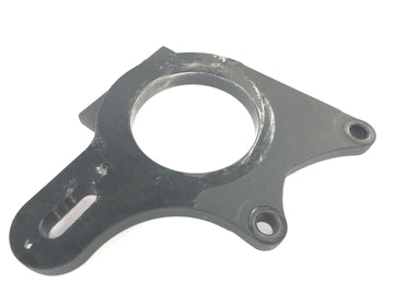 TRIUMPH DAYTONA 955I T595 [1998] - Placa de anclaje de freno - 0