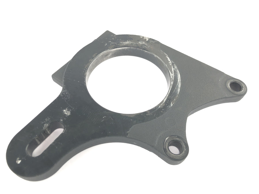 TRIUMPH DAYTONA 955I T595 [1998] - Placa de anclaje de freno