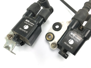 Ducati ST3 S3 [2004] - Módulo de encendido de la unidad de encendido de la bobina de encendido con cables de encendido - 0