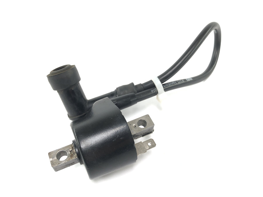 Cagiva Mito 125 EVO 8P [2000] - Módulo de encendido de la bobina de encendido Conjunto de cable de encendido