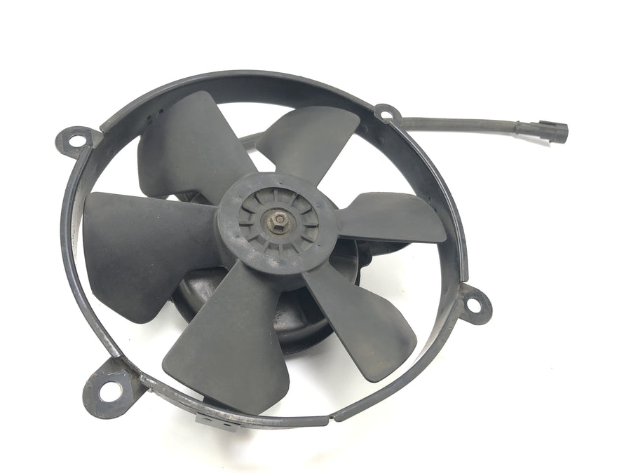 Yamaha Rd 350 YPVS 31K [1984] - Fan Fan Fan