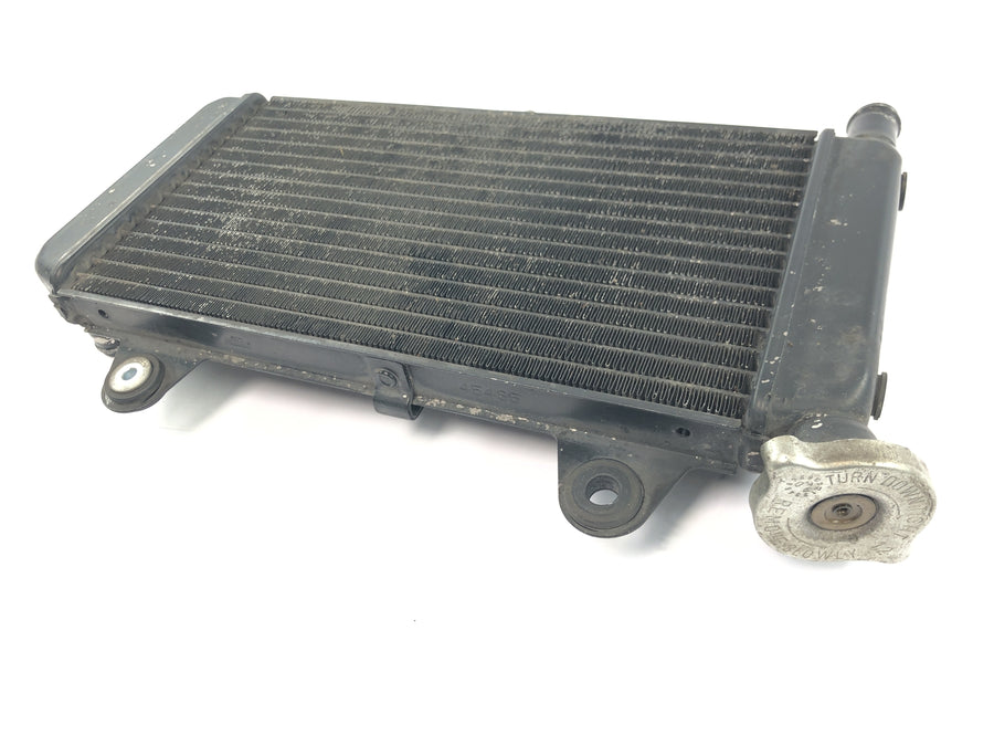 Yamaha MT 03 RM02 [2007] - Radiador enfriador de agua enfriador del motor radiador del sistema de refrigeración