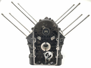 Moto Guzzi Stelvio 1200 4V [2009] - Motor de alojamiento vacío - 0