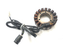 Kawasaki ZX 12 R ZXT20A [2001] - Generador alternador estator-2