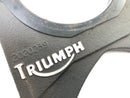 Triumph Daytona 955i T595 [1999] - Placa de anclaje de freno-2