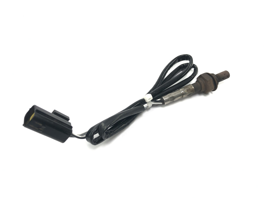 Triumph Tiger 955i 709EN [2003] - Sonda lambda sensor de oxigeno sensor de gases de escape