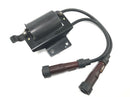Triumph Bonneville T100 986MF [2012] - Unidad de encendido del módulo de encendido de bobina de encendido con cable y conector de bujía-2