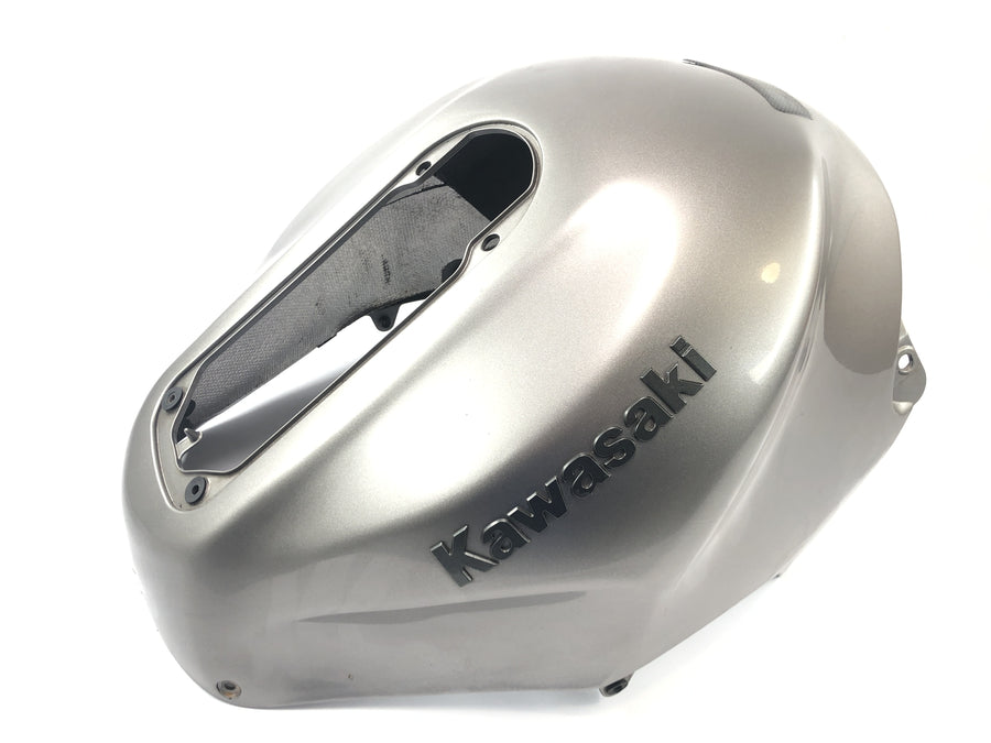 Kawasaki ZX 12 R ZXT20A [2001] - Tapa de carenado para depósito