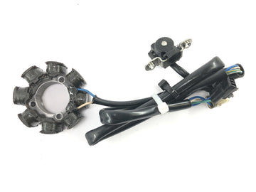 Honda CRF 450 R [2007] - Pastilla de bobina de encendido del generador del estator del alternador