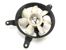 Triumph Daytona 955i T595 [1999] - Fan de ventilador de ventilador más coherer Fan de ventilador-1