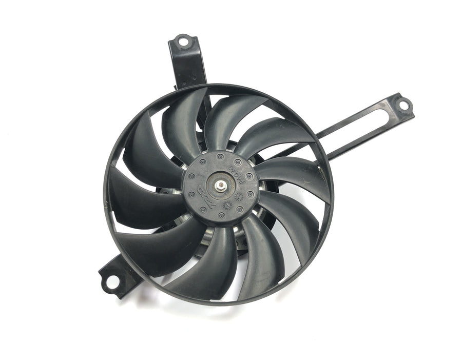 Honda CBR 1000 RR SC59 [2008] - Ventilador radiador ventilador refrigeración