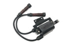 Triumph Bonneville T100 986MF [2012] - Unidad de encendido del módulo de encendido de bobina de encendido con cable y conector de bujía-1
