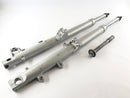 BMW R 1100 GS [1990] - Gabel Telelever con eje-9