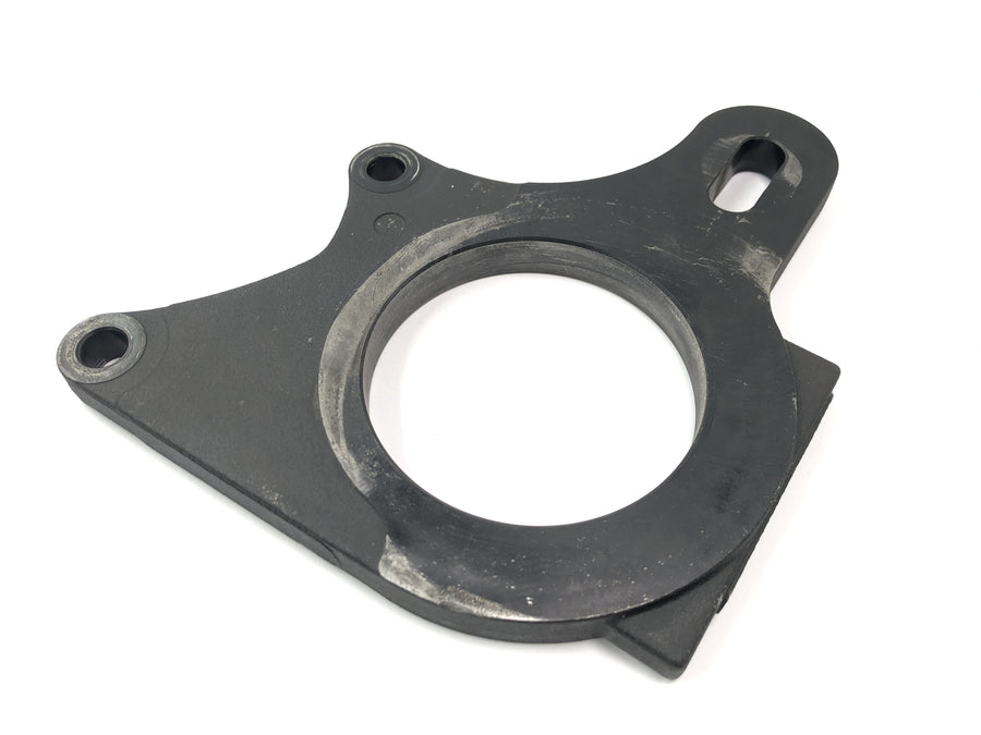 Triumph Speed ​​Triple T509 [1998] - Placa de anclaje soporte pinza de freno