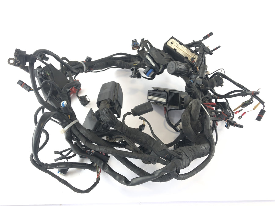 BMW R 1200 R [2007] - Arnés de cableado