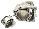 BMW F 650 GS Dakar [2007] - Cilindro con pistones-3