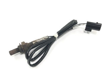 Triumph Tiger 955i 709EN [2003] - Sonda lambda sensor de oxigeno sensor de gases de escape