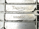 Triumph Thunderbird 900 T309RT [1996] - Cubierta del motor de la cubierta puntual-4