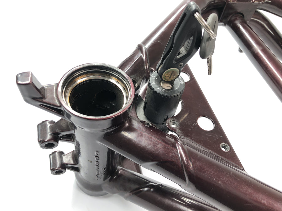 Benelli TNT 1130 [2009] - Marco con papeles