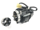 Triumph Adventurer 900 T309RT [1998] - Alternador Generador Alternador 12V Nippondenso-2