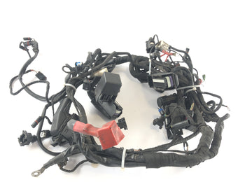 BMW R 1200 R [2007] - Arnés de cableado