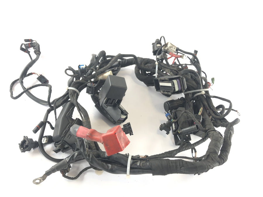 BMW R 1200 R [2007] - Arnés de cableado