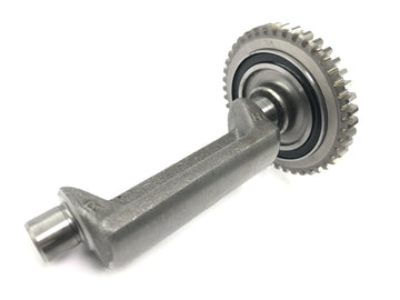 Yamaha DT 125 R DE03 [2000] - Eje equilibrador equilibrador - 0