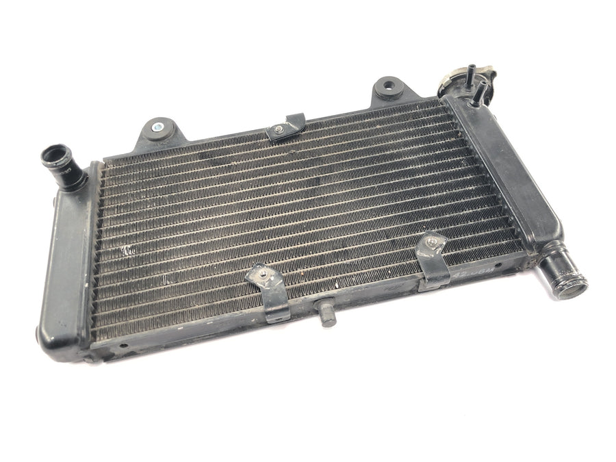 Yamaha MT 03 RM02 [2007] - Radiador enfriador de agua enfriador del motor radiador del sistema de refrigeración