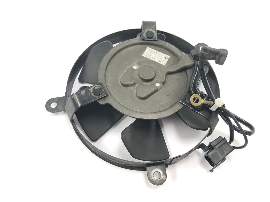 Honda CBR 900 RR Fireblade SC33 [2000] - Ventilador eléctrico de rueda de ventilador de radiador
