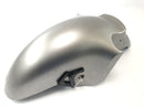 Kawasaki ZX 12 R ZXT20A [2001] - Guardabarros tapa rueda guardabarros delantero-1